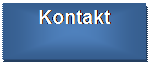 Schemat blokowy: proces: Kontakt


