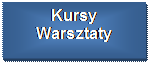 Schemat blokowy: proces: Kursy
Warsztaty


